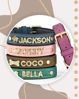 ✨ Obojek se jménem z třpytivých kamínků ✨ Protože i váš mazlíček si zaslouží trochu luxusu! 💖 Stylový, personalizovaný a...